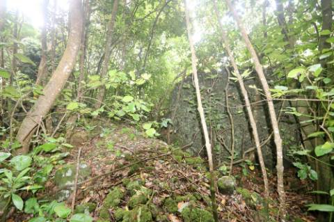 VENDA de TERRENO RÚSTICO - Nossa Senhora do Rosário, Lagoa, Ilha de São Miguel, Açores
