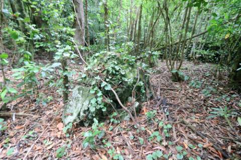 VENDA de TERRENO RÚSTICO - Nossa Senhora do Rosário, Lagoa, Ilha de São Miguel, Açores
