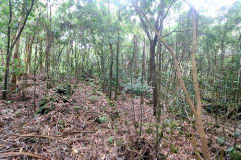 VENDA de TERRENO RÚSTICO - Nossa Senhora do Rosário, Lagoa, Ilha de São Miguel, Açores