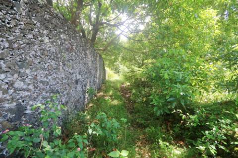 VENDA de TERRENO RÚSTICO - Nossa Senhora do Rosário, Lagoa, Ilha de São Miguel, Açores