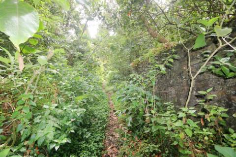 VENDA de TERRENO RÚSTICO - Nossa Senhora do Rosário, Lagoa, Ilha de São Miguel, Açores