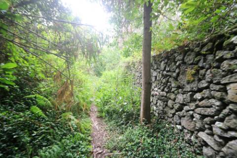 VENDA de TERRENO RÚSTICO - Nossa Senhora do Rosário, Lagoa, Ilha de São Miguel, Açores