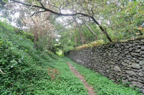 VENDA de TERRENO RÚSTICO - Nossa Senhora do Rosário, Lagoa, Ilha de São Miguel, Açores