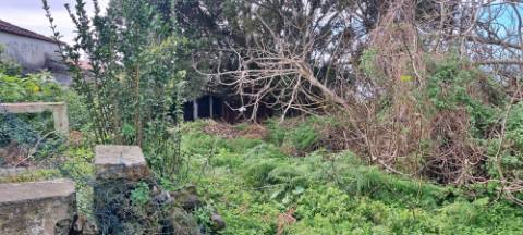 VENDA de CASA - MORADIA para reabilitar - São Bartolomeu de Regatos, Angra do Heroísmo, Ilha Terceira, Açores