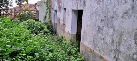 VENDA de CASA - MORADIA para reabilitar - São Bartolomeu de Regatos, Angra do Heroísmo, Ilha Terceira, Açores