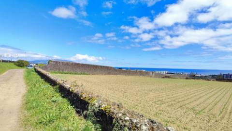 VENDA conjunta de 5 TERRENOS com potencial para construção em Ponta Delgada, Ilha de São Miguel, Açores