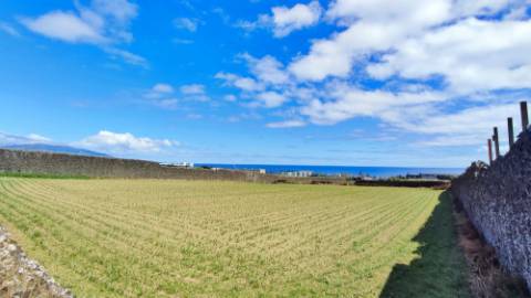 VENDA conjunta de 5 TERRENOS com potencial para construção em Ponta Delgada, Ilha de São Miguel, Açores