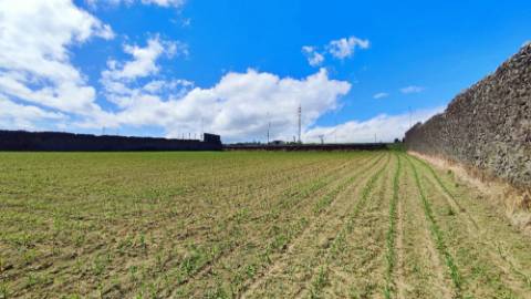VENDA conjunta de 5 TERRENOS com potencial para construção em Ponta Delgada, Ilha de São Miguel, Açores