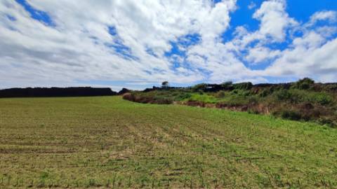 VENDA conjunta de 5 TERRENOS com potencial para construção em Ponta Delgada, Ilha de São Miguel, Açores