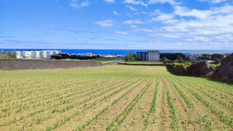 VENDA conjunta de 5 TERRENOS com potencial para construção em Ponta Delgada, Ilha de São Miguel, Açores