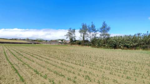 VENDA conjunta de 5 TERRENOS com potencial para construção em Ponta Delgada, Ilha de São Miguel, Açores