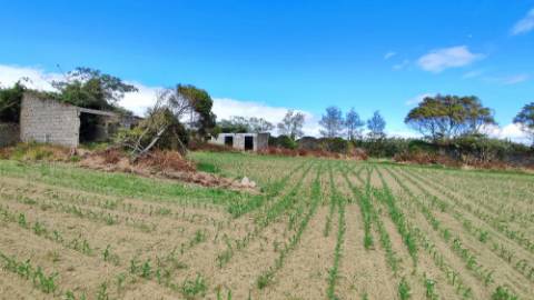 VENDA conjunta de 5 TERRENOS com potencial para construção em Ponta Delgada, Ilha de São Miguel, Açores