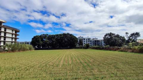 VENDA conjunta de 5 TERRENOS com potencial para construção em Ponta Delgada, Ilha de São Miguel, Açores