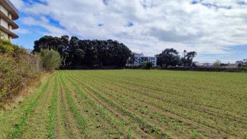 VENDA conjunta de 5 TERRENOS com potencial para construção em Ponta Delgada, Ilha de São Miguel, Açores