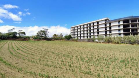 VENDA conjunta de 5 TERRENOS com potencial para construção em Ponta Delgada, Ilha de São Miguel, Açores