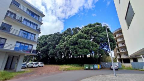 VENDA conjunta de 5 TERRENOS com potencial para construção em Ponta Delgada, Ilha de São Miguel, Açores