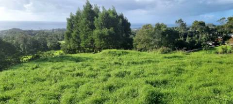 VENDA de AMPLO TERRENO para Construção - Posto Santo, Angra do Heroísmo, Ilha Terceira, Açores