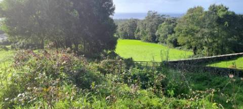 VENDA de AMPLO TERRENO para Construção - Posto Santo, Angra do Heroísmo, Ilha Terceira, Açores