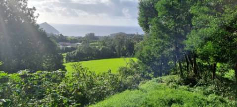 VENDA de AMPLO TERRENO para Construção - Posto Santo, Angra do Heroísmo, Ilha Terceira, Açores