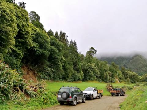 VENDA de AMPLO TERRENO rústico com pastagem e mata - Sete Cidades, Ponta Delgada, Ilha de São Miguel, Açores