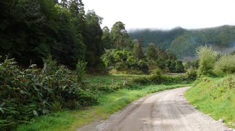 VENDA de AMPLO TERRENO rústico com pastagem e mata - Sete Cidades, Ponta Delgada, Ilha de São Miguel, Açores