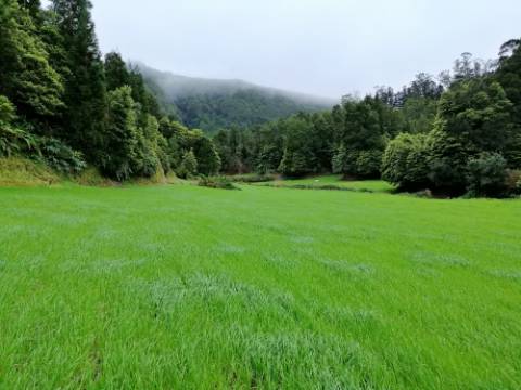 VENDA de AMPLO TERRENO rústico com pastagem e mata - Sete Cidades, Ponta Delgada, Ilha de São Miguel, Açores