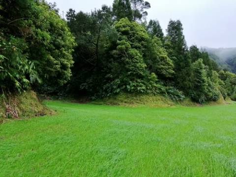 VENDA de AMPLO TERRENO rústico com pastagem e mata - Sete Cidades, Ponta Delgada, Ilha de São Miguel, Açores