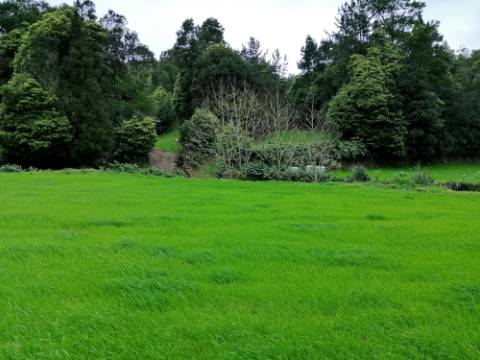 VENDA de AMPLO TERRENO rústico com pastagem e mata - Sete Cidades, Ponta Delgada, Ilha de São Miguel, Açores