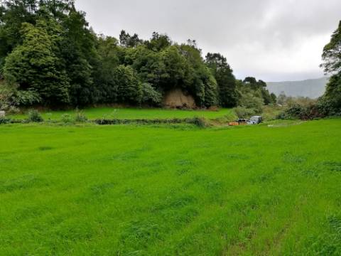 VENDA de AMPLO TERRENO rústico com pastagem e mata - Sete Cidades, Ponta Delgada, Ilha de São Miguel, Açores
