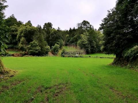 VENDA de AMPLO TERRENO rústico com pastagem e mata - Sete Cidades, Ponta Delgada, Ilha de São Miguel, Açores