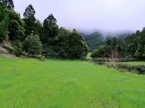 VENDA de AMPLO TERRENO rústico com pastagem e mata - Sete Cidades, Ponta Delgada, Ilha de São Miguel, Açores