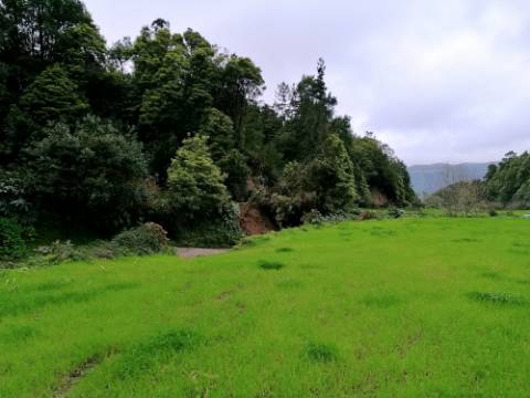 VENDA de AMPLO TERRENO rústico com pastagem e mata - Sete Cidades, Ponta Delgada, Ilha de São Miguel, Açores