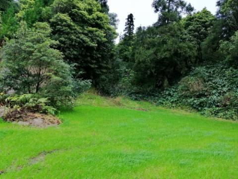 VENDA de AMPLO TERRENO rústico com pastagem e mata - Sete Cidades, Ponta Delgada, Ilha de São Miguel, Açores