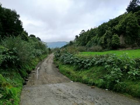VENDA de AMPLO TERRENO rústico com pastagem e mata - Sete Cidades, Ponta Delgada, Ilha de São Miguel, Açores