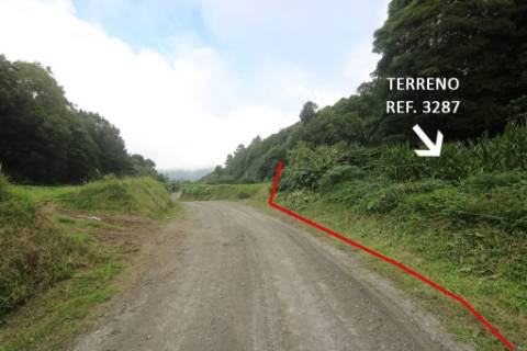 VENDA de AMPLO TERRENO rústico com pastagem e mata - Sete Cidades, Ponta Delgada, Ilha de São Miguel, Açores