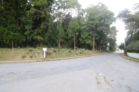 VENDA de AMPLO TERRENO rústico com pastagem e mata - Sete Cidades, Ponta Delgada, Ilha de São Miguel, Açores