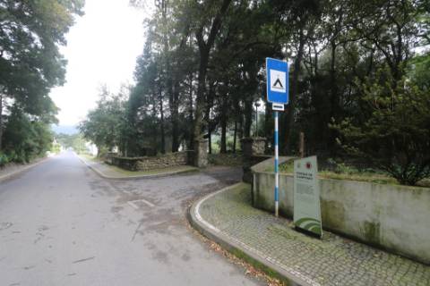 VENDA de AMPLO TERRENO rústico com pastagem e mata - Sete Cidades, Ponta Delgada, Ilha de São Miguel, Açores