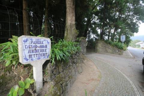 VENDA de AMPLO TERRENO rústico com pastagem e mata - Sete Cidades, Ponta Delgada, Ilha de São Miguel, Açores