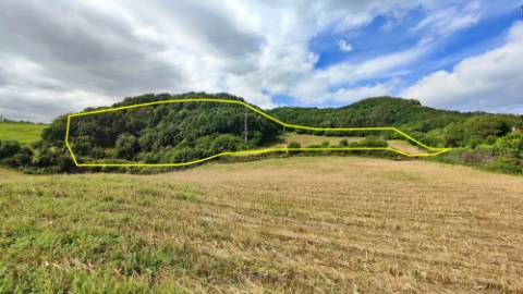 VENDA de TERRENO RÚSTICO - São Roque, Ponta Delgada, Ilha de São Miguel, Açores