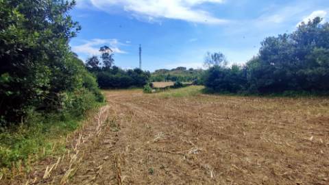 VENDA de TERRENO RÚSTICO - São Roque, Ponta Delgada, Ilha de São Miguel, Açores