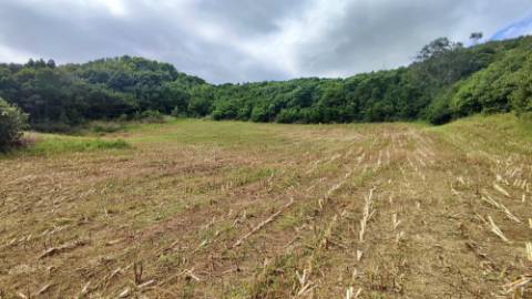 VENDA de TERRENO RÚSTICO - São Roque, Ponta Delgada, Ilha de São Miguel, Açores