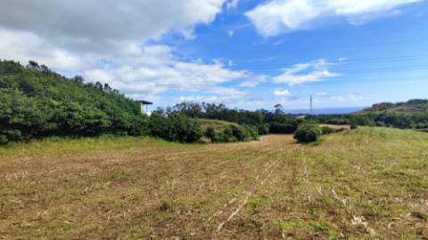 VENDA de TERRENO RÚSTICO - São Roque, Ponta Delgada, Ilha de São Miguel, Açores