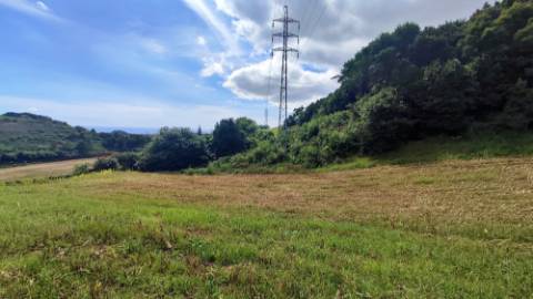 VENDA de TERRENO RÚSTICO - São Roque, Ponta Delgada, Ilha de São Miguel, Açores