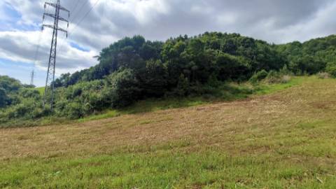 VENDA de TERRENO RÚSTICO - São Roque, Ponta Delgada, Ilha de São Miguel, Açores