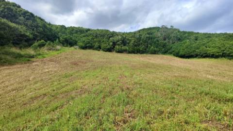 VENDA de TERRENO RÚSTICO - São Roque, Ponta Delgada, Ilha de São Miguel, Açores