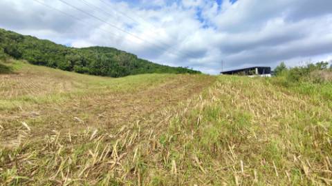 VENDA de TERRENO RÚSTICO - São Roque, Ponta Delgada, Ilha de São Miguel, Açores