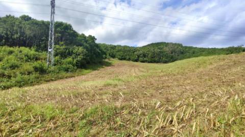 VENDA de TERRENO RÚSTICO - São Roque, Ponta Delgada, Ilha de São Miguel, Açores