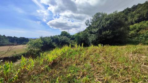 VENDA de TERRENO RÚSTICO - São Roque, Ponta Delgada, Ilha de São Miguel, Açores