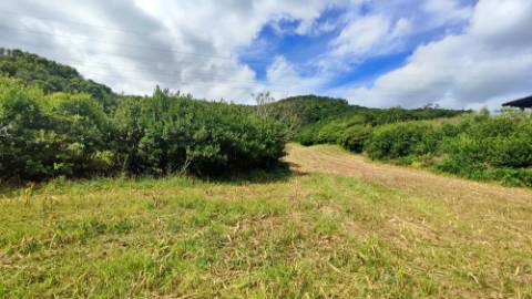 VENDA de TERRENO RÚSTICO - São Roque, Ponta Delgada, Ilha de São Miguel, Açores
