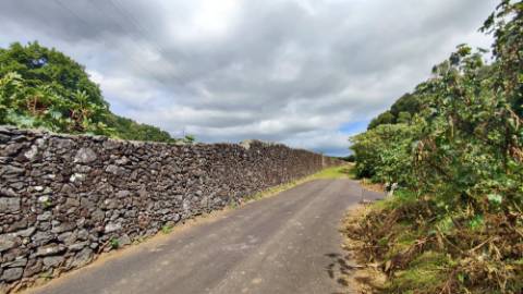 VENDA de TERRENO RÚSTICO - São Roque, Ponta Delgada, Ilha de São Miguel, Açores